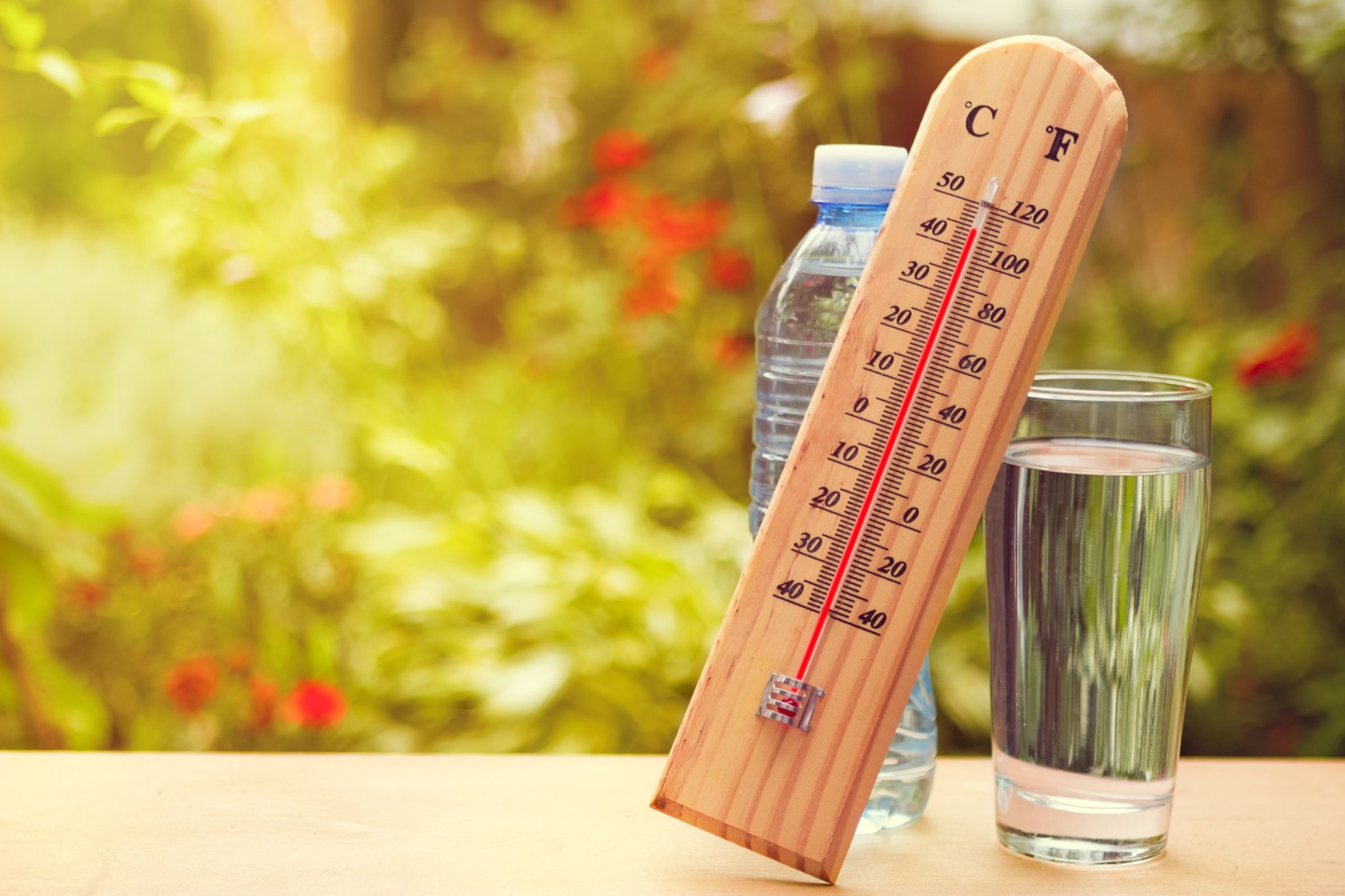 plan-canicule-vif
