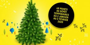 Collecte de sapins
