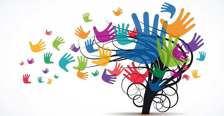 Programme du Centre Social