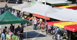 Marché de vif