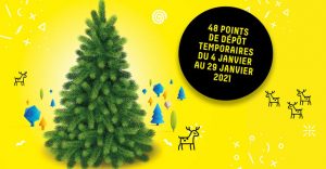 Collecte des sapins
