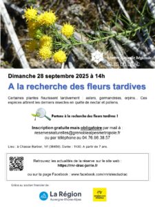 Flore tardive